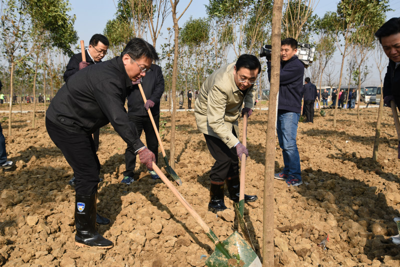 陈正春带领区四套班子领导参加义务植树造林活动